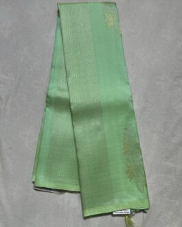 Border Less Kanchi Pattu Saree