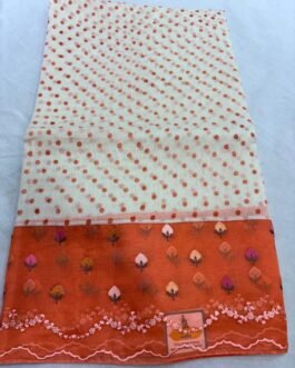 Fusion saree